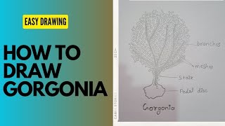 how to draw gorgonia diagram।। easy gorgonia diagram।। आसानी से gorgonia बनाना सीखे।। [upl. by Penny]