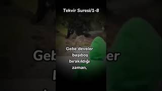 Tekvir Suresi 18 Ayetler [upl. by Lorenz]