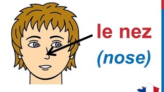 French Lesson 30  FACE BODY VOCABULARY  Le visage Parts of the head Partes del cuerpo en francés [upl. by Godiva]