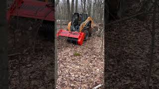 Skid Steer Attachment Forestry Mulcher [upl. by Tish]