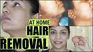 EGG Facial Hair Removal At Home Permanently  SuperPrincessjo [upl. by Lihcox]