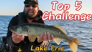 25 Walleye Caught Trolling Lake Erie [upl. by Thgirw980]