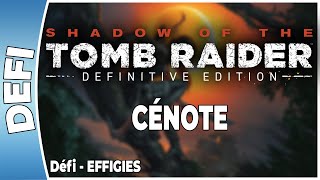 Shadow of The Tomb Raider  CÉNOTE  Défi  EFFIGIES FR PS4 [upl. by Simone771]