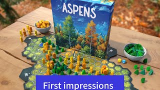 Aspens Board Game First Impressions [upl. by Anuqahs135]