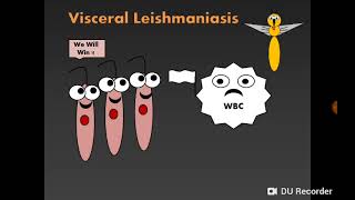 Introduction to Haemoflagellates amp Visceral leishmaniasis سوطيات الدم والليشمانيا الحشوية [upl. by Ailuj]