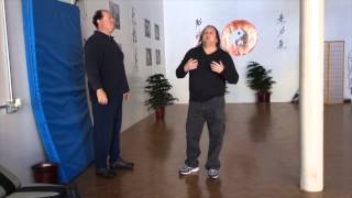 Internal Arts Yeung Yang Style Tai Chi Push Hands Lesson [upl. by Okin]