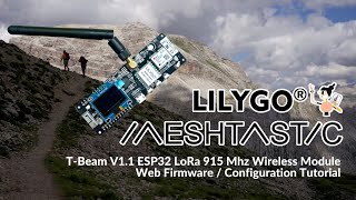 Web Firmware  Configuration Guide  LILYGO Meshtastic TBeam V11 ESP32 Wireless Module [upl. by Ephrayim]