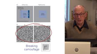 Random Dot Stereograms and the Correspondence Problem  Visual Perception and the Brain [upl. by Nomyt]