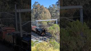 Steam Locomotive K183 entering the cutting at Wattle Glen 🚂 train [upl. by Still723]