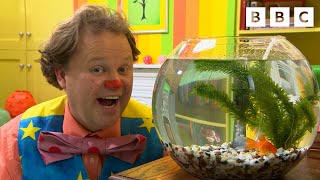 Mr Tumble Loves Animals  CBeebies [upl. by Jyoti]