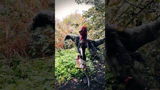 scarecrow comes to life or dont touch my apples spooky scary [upl. by Cowley]