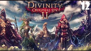 FR Divinity Original Sin 2  Rencontre Divine [upl. by Ahsemad]