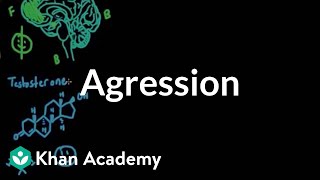 Aggression  Individuals and Society  MCAT  Khan Academy [upl. by Amalita]