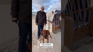 Polnische Ostsee Urlaub mit Hund in Kolberg [upl. by Etnoval300]