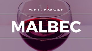 What is MALBEC  What you need to know about this popular grape [upl. by Shoshana]