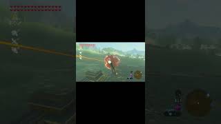 One of Those Days in Zelda Breath of the Wild [upl. by Adyan]