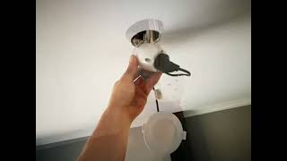 LED Downlight installation and replacement [upl. by Christalle655]