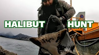 Catching cod and halibut from the shore in Norway on spinning tackle [upl. by Shewmaker]