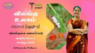 Animal Kingdom  Part 6 Classification of Animals  Arthropoda  Mollusca  NEET Tamil [upl. by Mayhew]