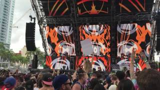 Rezz Live  Ultra Music Festival 2017 Miami [upl. by Leahcimsemaj]