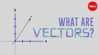 What is a vector  David Huynh [upl. by Restivo]