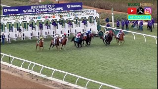 2024 Breeders Cup Mile Stretch Rally Carries To Victory [upl. by Ahens689]