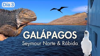 Senderismo por la vida silvestre de las Islas Galápagos [upl. by Nryhtak730]