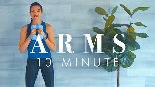 10 Minute Standing Arm Workout for Beginners amp Seniors to the Beat 🎶 [upl. by Kerry747]