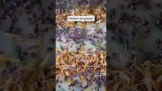 Le Savon Verveine Agrumes 🤯 Pétales de Calendula 100 Fait Main [upl. by Philo]