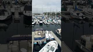 Delivering Amazon to Boats shorts youtubeshorts boat [upl. by Aneris]