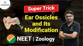 Tricks to learn Ear Ossicles amp Modification 🔥 Human Ear  Zoology  NEET 2021 ATP STAR [upl. by Oivatco]