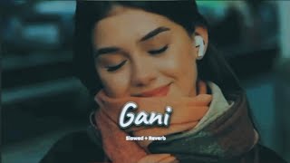 Gani slowed amp reverb love song  new Punjabi lofi music 2024 [upl. by Ellinej]