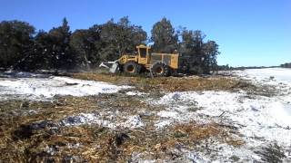 Tigercat 726E with WWR 9000 Mulching Head CarbonBite Mulching Systems Vernal Utah [upl. by Mcclenaghan450]