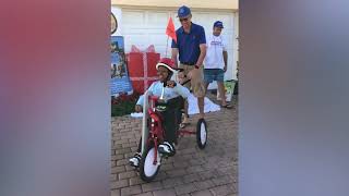 Child with cerebral palsy receives special tricycle [upl. by Adeline]