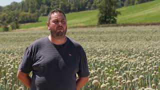 Clément fier dêtre Agriculteur Multiplicateur de Semences en HauteGaronne [upl. by Ellswerth]