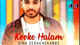 Sina Derakhshande  Kooke Halam  Single  микс 2024 [upl. by Kellina748]