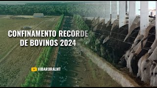 MATO GROSSO BATE RECORDE COM MAIS DE 892 MIL CABEÇAS [upl. by Daphna]