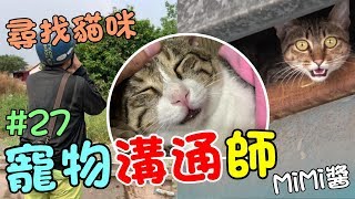 『寵物溝通師』協尋失蹤的貓咪！傳心術尋貓紀錄上 MiMi醬 Cat Story27 [upl. by Tager]