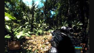 Crysis True Power Of The Radeon 5870 [upl. by Abra]