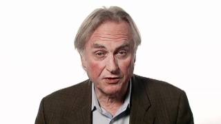 Richard Dawkins on Why Science is Art [upl. by Tracay]