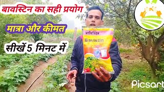 Bavistin fungiside uses। फैंगिसाइड का प्रयोग कैसे करें। फैंजिसाइड की सही मात्रा की जानकारी । [upl. by Nomed]