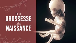 De la grossesse à la naissance dun miracle [upl. by Arimak]