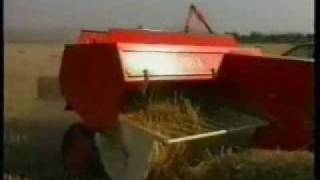 Cicoria pickup baler in Italy [upl. by Akirret]