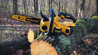 DEWALT 20V MAX XR Chainsaw First Impressions [upl. by Antonetta]