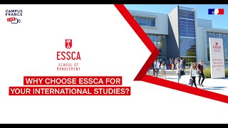 Why choose ESSCA for your international studies [upl. by Ynnaj565]