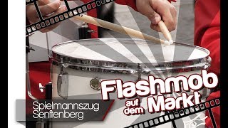 FLASHMOB  Spielmannszug Senftenberg 2017  Film Crew Senftenberg [upl. by Novyak]