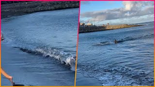 Terrifying moment when a shark hits some swimmers causes tourists to run out of the water in Gran [upl. by Nauqahs685]