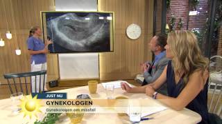 Gynekologen quotInga ökade risker för missfall vid tidigt ultraljudquot  Nyhetsmorgon TV4 [upl. by Emsoc103]