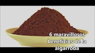 6 Maravillosos Beneficios de la Algarroba [upl. by Kathlin]