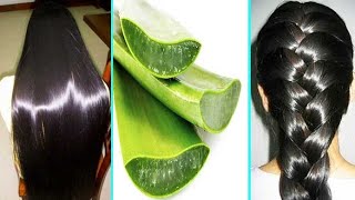 3 WAYS TO USE ALOE VERA FOR MASSIVE HAIR GROWTH  Aloe vera oil Prepoo amp Detangler  UPDATE [upl. by Audwen770]